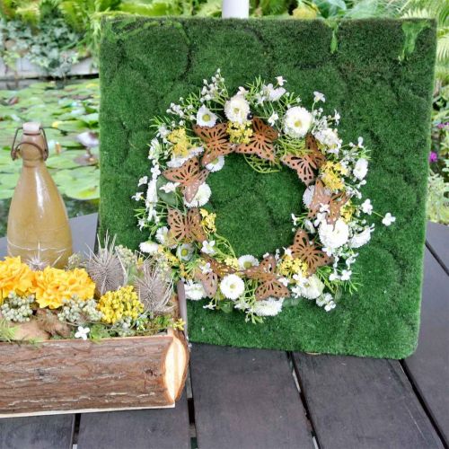 Floristik24 Decoração de borboleta, decoração de primavera para pendurar, anel de grinalda, pátina Ø30cm 2pcs