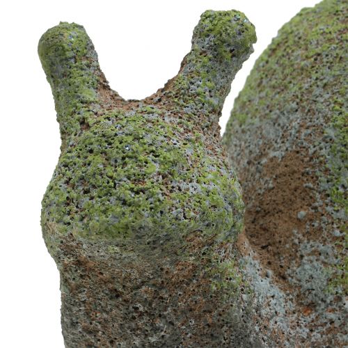 Floristik24 Estatueta de jardim caracol musgosa 31cm x 17cm Alt.17cm