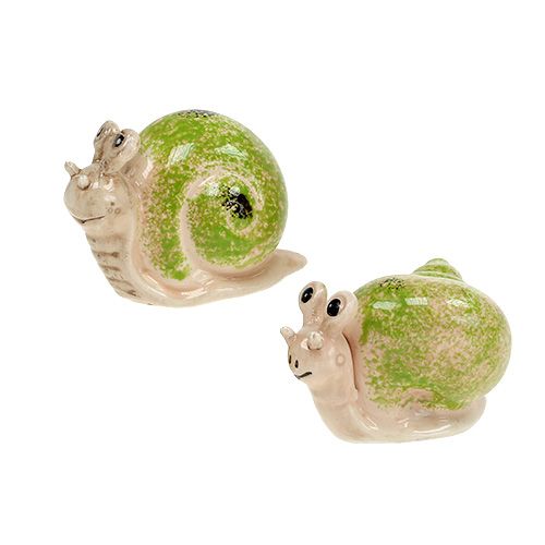 Floristik24 Figura decorativa caracol creme-verde 5cm 6 unidades