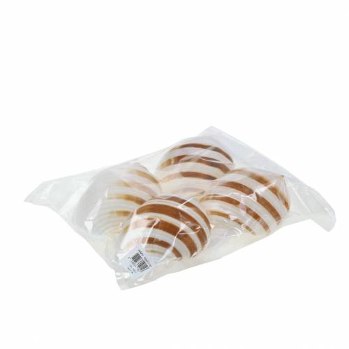 Floristik24 Caracol marinho caracol barril natural 10-12cm 4 un