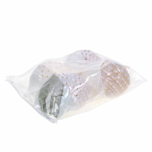 Floristik24 Concha de caracol decorativa Tonna tessellata natural 10-13cm 4 un