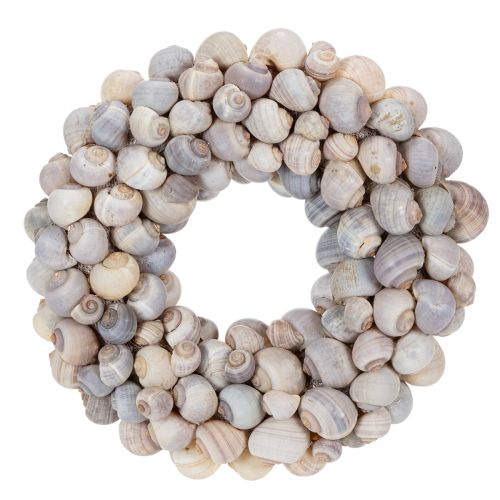 Floristik24 Guirlanda de caracol para pendurar, guirlanda decorativa, estilo marítimo, Nathai, Ø35cm