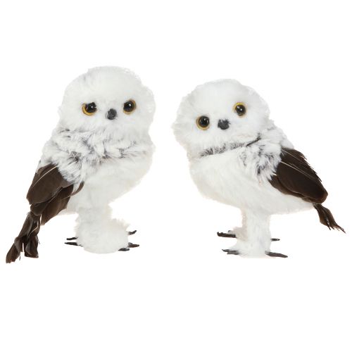 Floristik24 Figura Decorativa Coruja das Neves Par de Corujas Branco Marrom Alt.12cm 4 peças