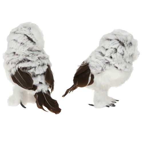 Itens Figura Decorativa Coruja das Neves Par de Corujas Branco Marrom Alt.12cm 4 peças