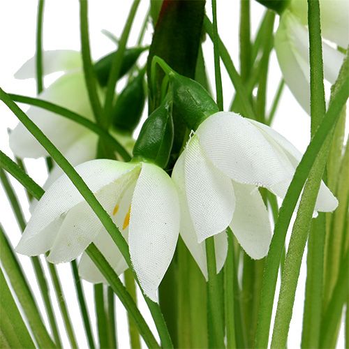 Floristik24 Snowdrop com bola de grama 24cm