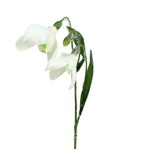 Floristik24 Snowdrops L48cm coberto de neve