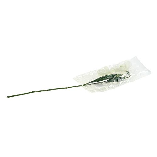 Floristik24 Snowdrops L48cm coberto de neve