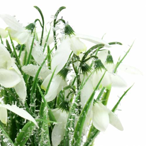 Itens Snowdrops em um pote fosco 25cm