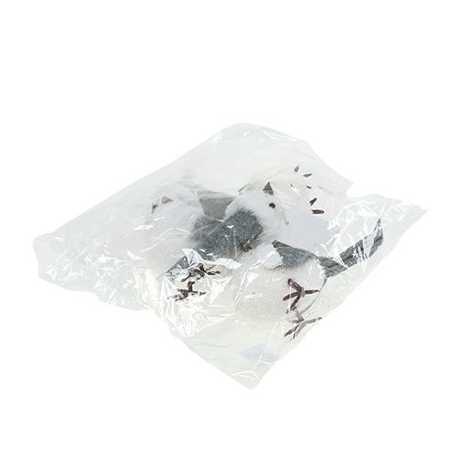 Floristik24 Pássaro da neve com gorro 18cm branco, cinza 3uds