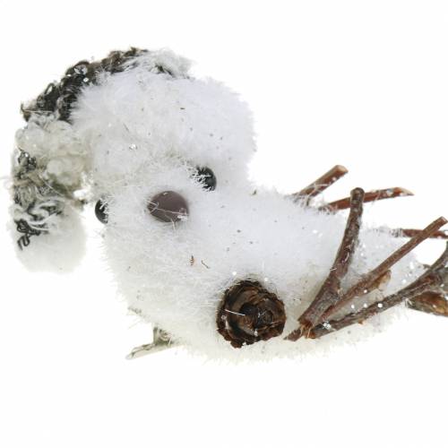 Floristik24 Pássaro da neve no clipe 8 cm x 6,5 cm 6 unidades