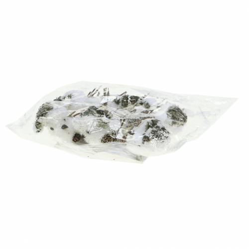Floristik24 Pássaro da neve no clipe 8 cm x 6,5 cm 6 unidades