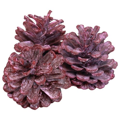 Floristik24 Pinhas pretas decoração natural vermelha fosca 5–7cm 1kg