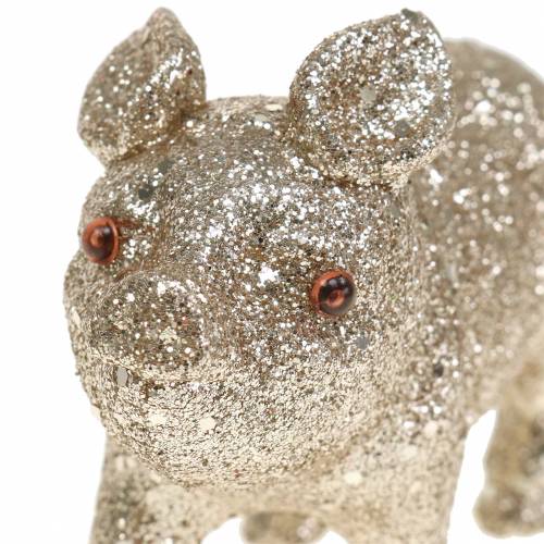 Floristik24 Porco decorativo glitter champagne 10cm 8pcs