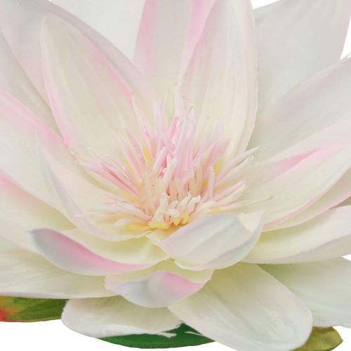 Itens Nenúfares flutuantes decoração de mesa artificial branca, rosa Ø15cm 2 unidades