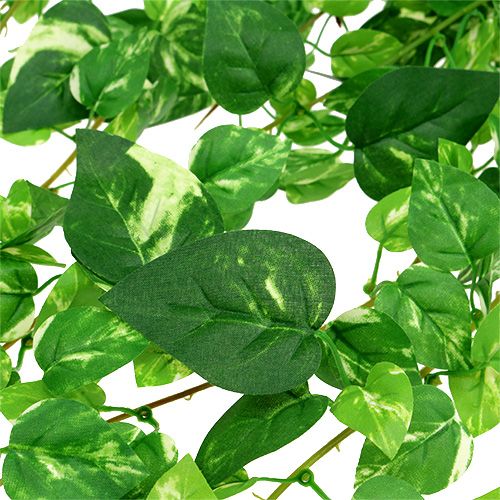 Floristik24 Gavinha de Scindapsus artificial 90cm