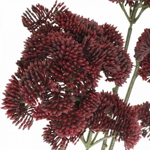Floristik24 Sedum vermelho artificial stonecrop decoração de outono 70 cm 3 unidades