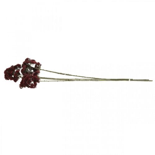 Floristik24 Sedum vermelho artificial stonecrop decoração de outono 70 cm 3 unidades