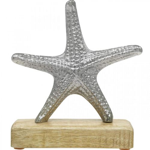 Floristik24 Estrela do mar de metal, decoração marítima, escultura decorativa prata, cores naturais H18cm