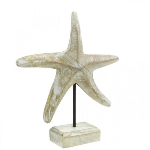 Floristik24 Estrela do mar para colocar, decoração em madeira marítima cor natural, branco H23,5cm