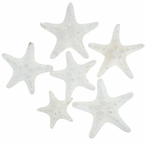 Floristik24 Knobs Starfish White 30pcs