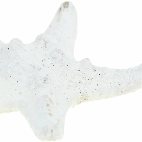 Itens Knobs Starfish White 30pcs
