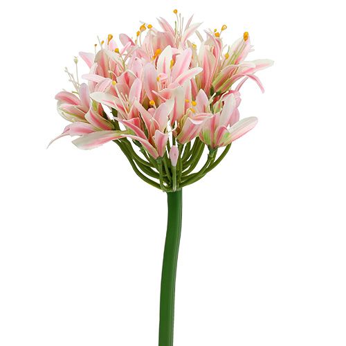 Floristik24.pt Flor de seda agapanthus rosa 80cm - compre barato online