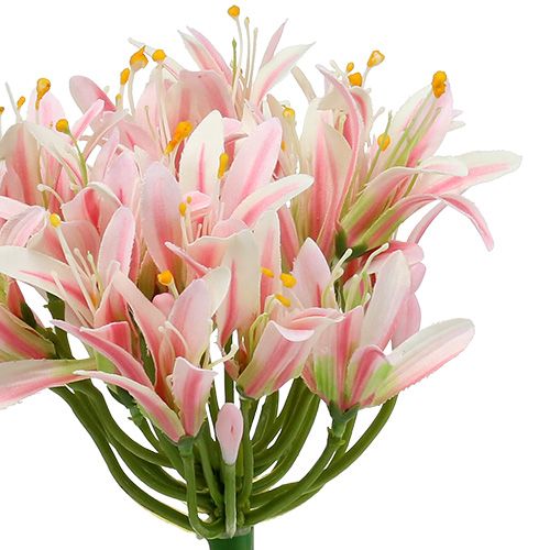 Floristik24 Flor de seda agapanthus rosa 80cm