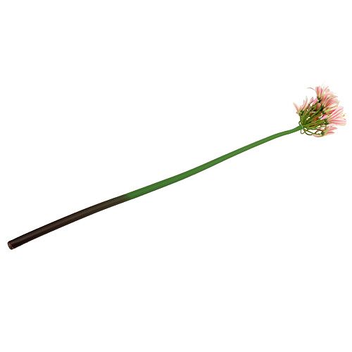 Floristik24 Flor de seda agapanthus rosa 80cm