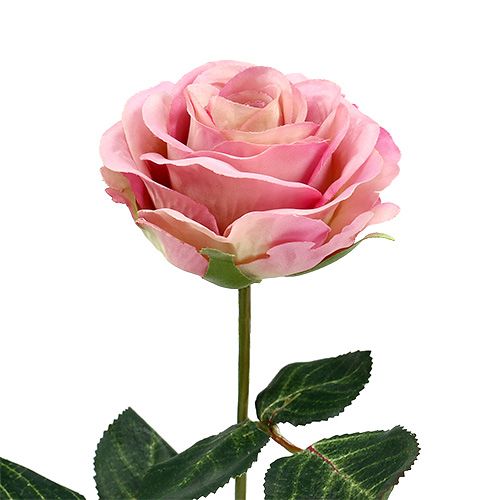 Floristik24 Flores de seda rosa Ø7cm C37cm rosa velho 6 unidades