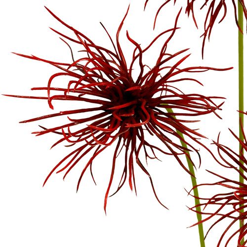 Floristik24 Flores de seda Xanthium Bordeaux 64cm 4 unidades