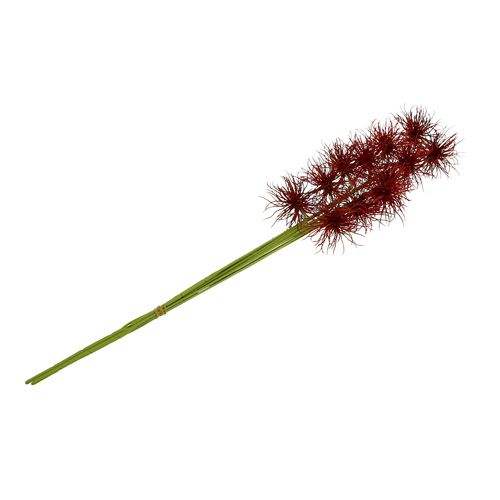 Floristik24 Flores de seda Xanthium Bordeaux 64cm 4 unidades