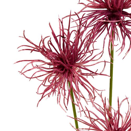 Floristik24 Flores de seda urze xanthium 63 cm 4 unidades