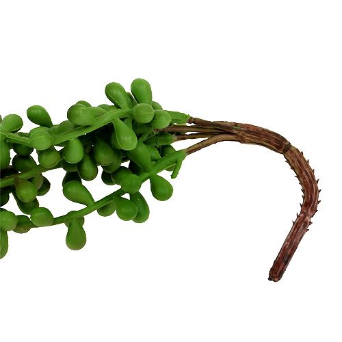 Floristik24 Cabide Senecio 75cm verde