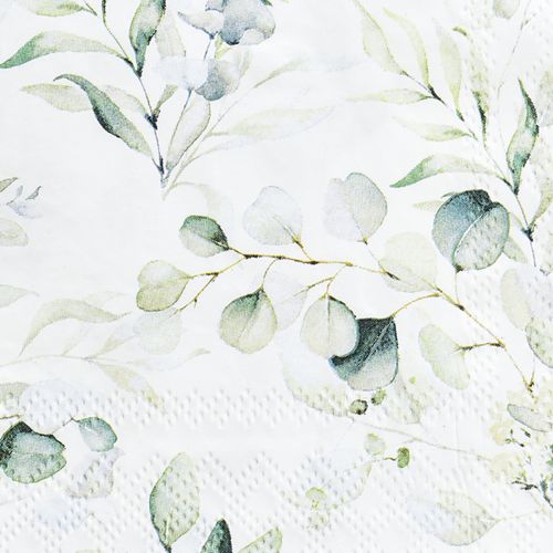Floristik24 Guardanapos decorativos de mesa eucalipto branco 25x25cm 20 un