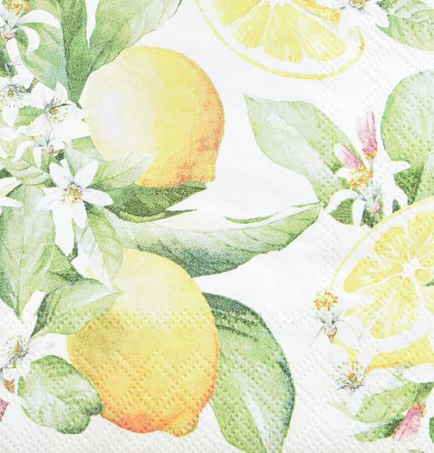 Floristik24 Guardanapos branco com limões decoração verão 33x33cm 20 un