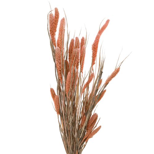 Itens Setaria cerdas milheto decoração seca salmão 69 cm 70-75g x 2 unidades