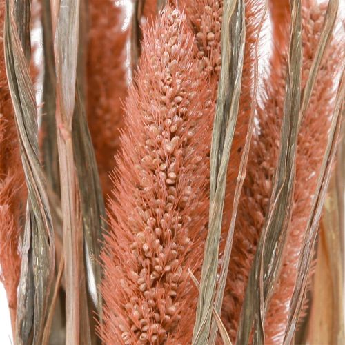 Itens Setaria cerdas milheto decoração seca salmão 69 cm 70-75g x 2 unidades