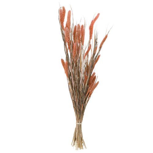 Itens Setaria cerdas milheto decoração seca salmão 69 cm 70-75g x 2 unidades