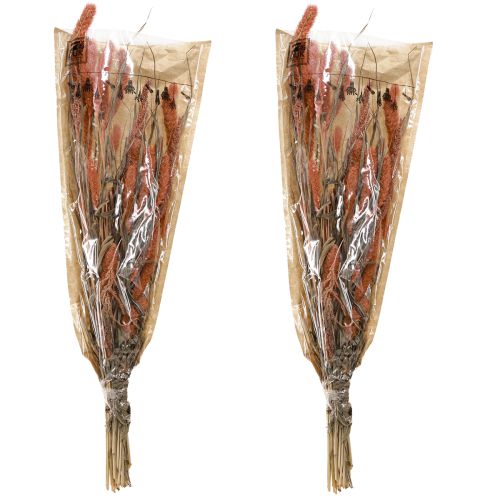 Itens Setaria cerdas milheto decoração seca salmão 69 cm 70-75g x 2 unidades
