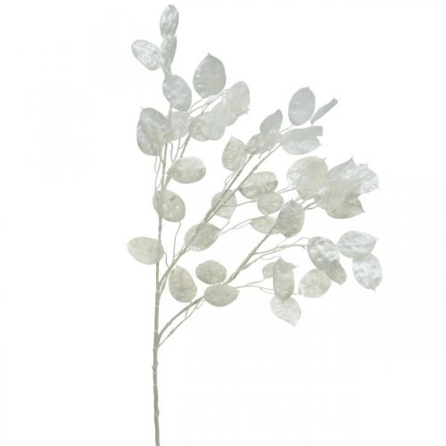 Floristik24 Ramo decorativo folha de prata branca Ramo Lunaria Ramo artificial 70cm