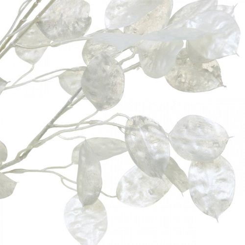 Floristik24 Ramo decorativo folha de prata branca Ramo Lunaria Ramo artificial 70cm