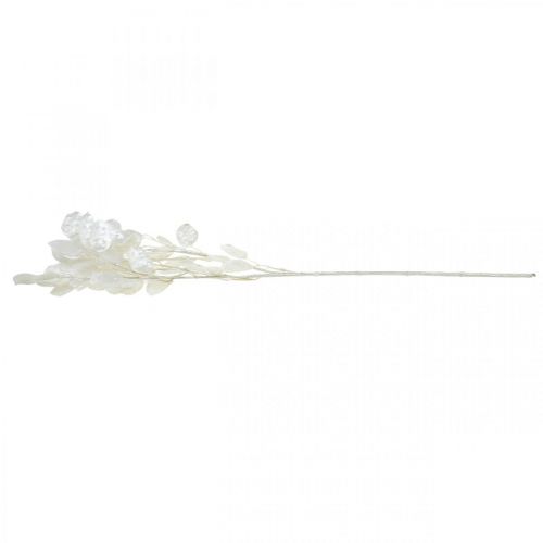 Floristik24 Ramo decorativo folha de prata branca Ramo Lunaria Ramo artificial 70cm