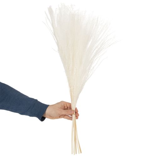 Itens Flores secas, capim prateado. Decoração natural elegante para casa e escritório. 70 cm, 10 peças.