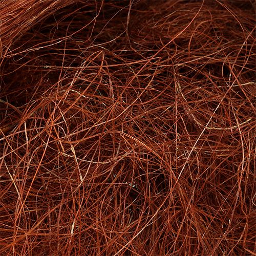 Floristik24 Sisal cobre 250g