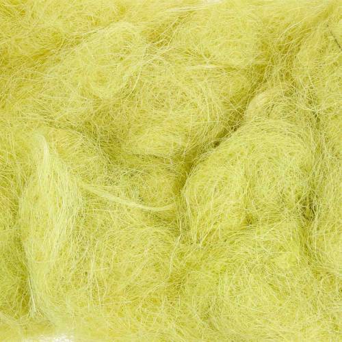 Floristik24 Pistache verde de sisal 500g