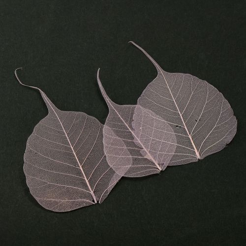 Folhas esqueléticas Bodhi folhas esqueletizadas roxas 5-15 cm 200 unidades