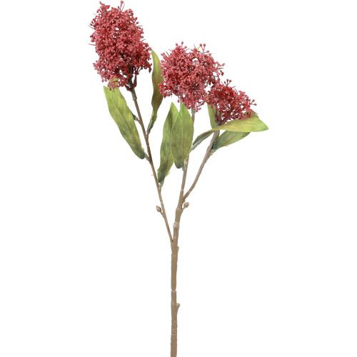 Floristik24 Skimmie Skimmia Japonica Flores Artificiais Borgonha DryLook L59cm