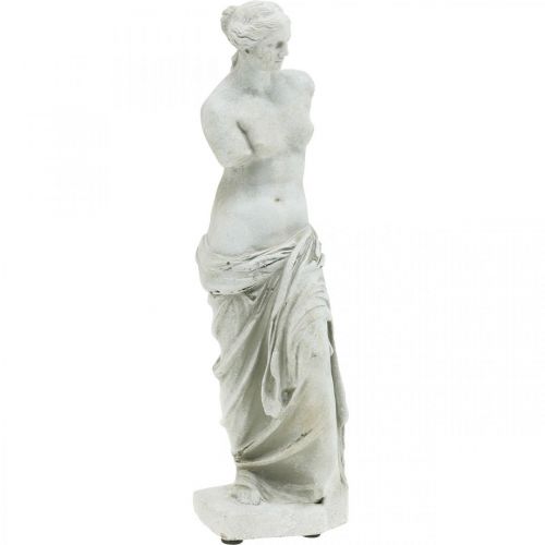Floristik24 Estátua de Vênus escultura decorativa H29cm cinza-marrom figura decorativa jardim