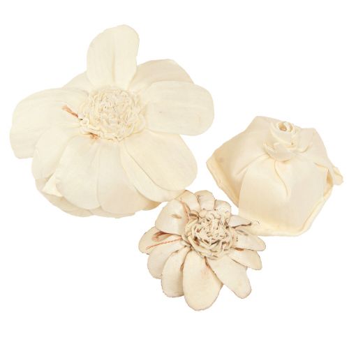 Itens Sola Flowers Madeira Flores Deco Mix Creme 6-11cm 12-15 un