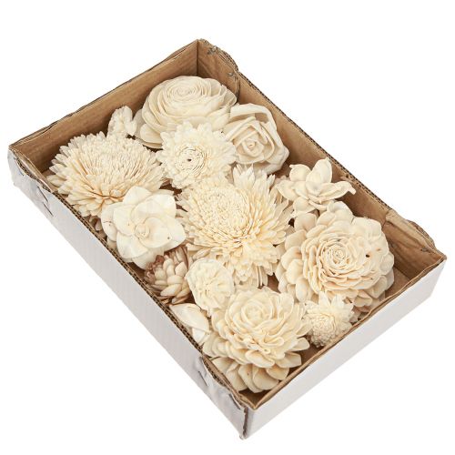 Itens Sola Flowers Madeira Flores Deco Mix Creme 6-11cm 12-15 un